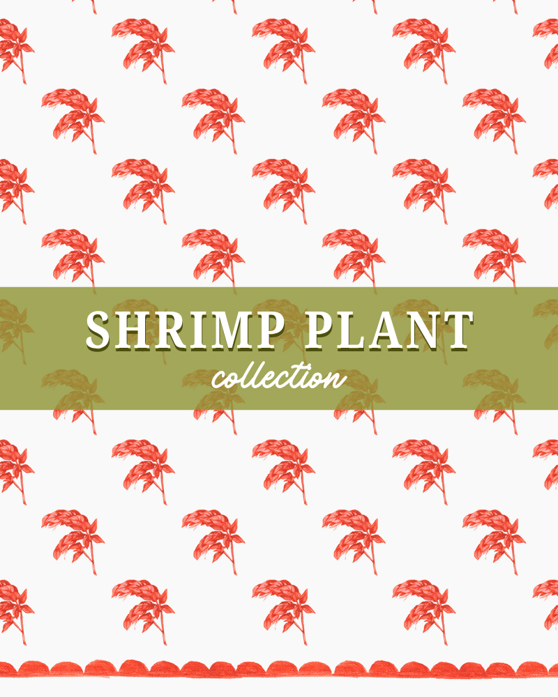 Shrimp Plant Design