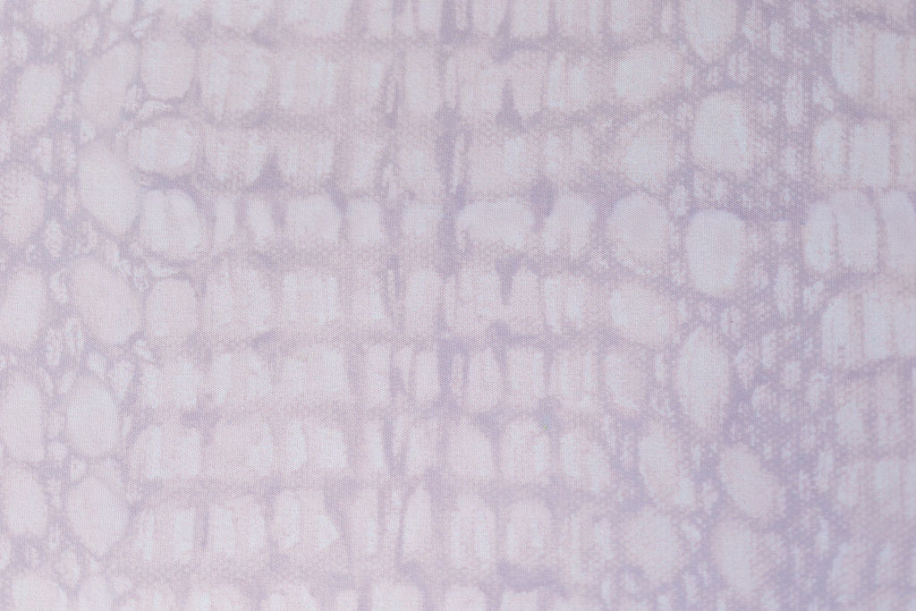 White Alligator Placemat