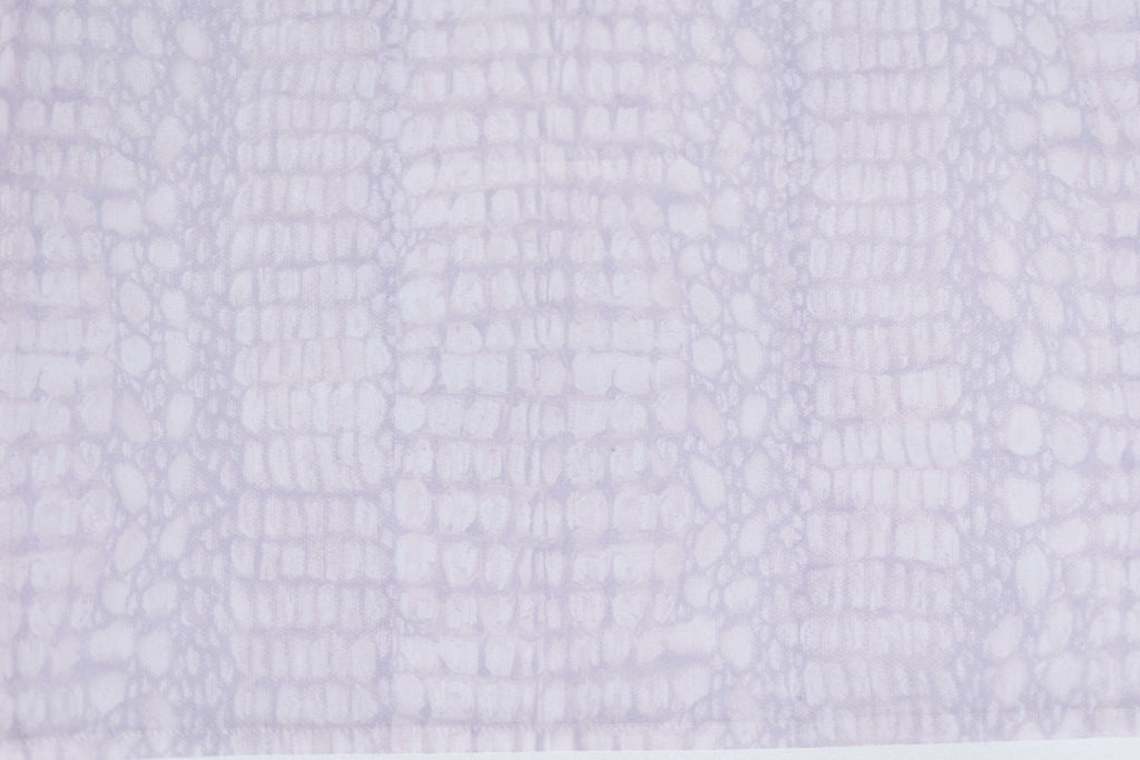 White Alligator Placemat