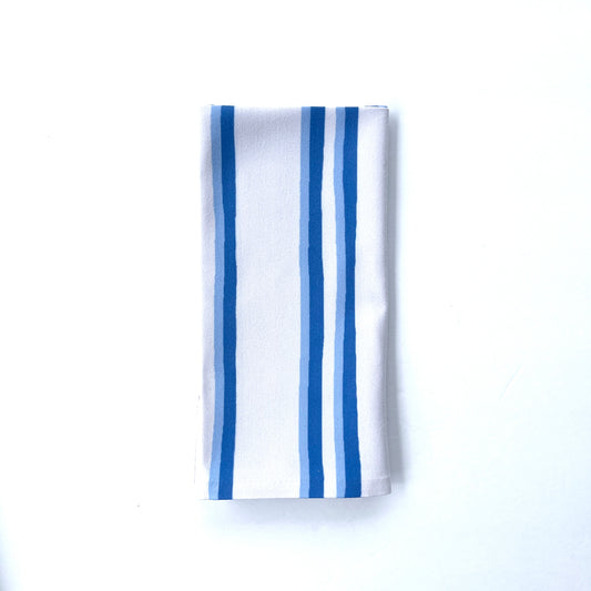 Riverbend Stripe in Haint Blue | Set of 4