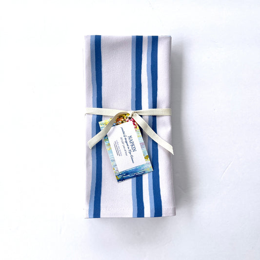 Riverbend Stripe in Haint Blue | Set of 4
